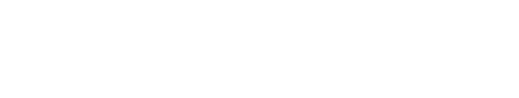 Gender Flux logo
