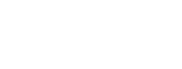 NF Busty logo