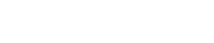 Digital Videovision logo